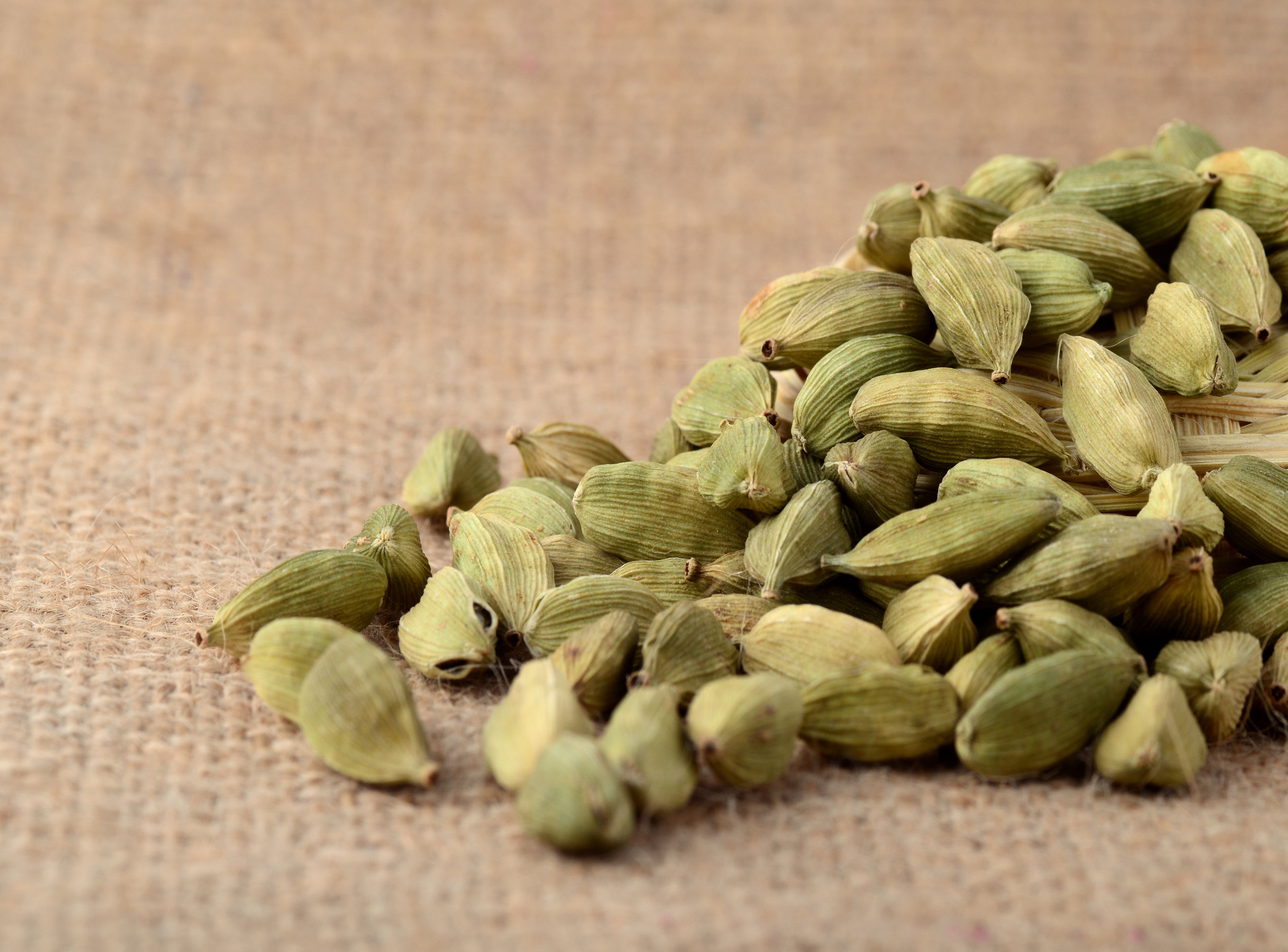 Whole green cardamom pods, showcasing their vibrant color and aromatic seeds, used in a variety of dishes.