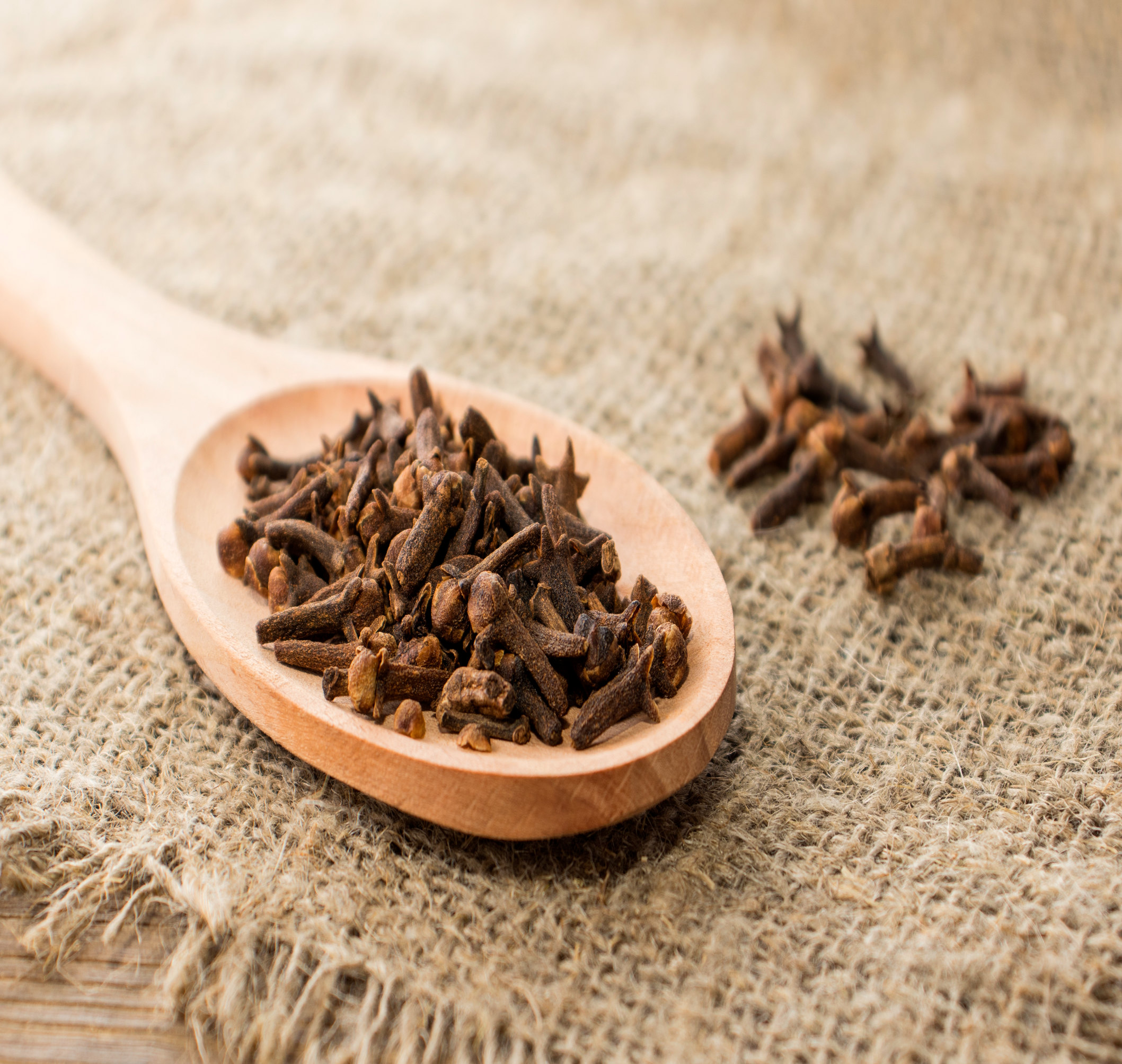 A close-up of whole cloves, a powerful and aromatic spice commonly used in Indian cuisine, known for its warm, sweet, and slightly bitter flavor.